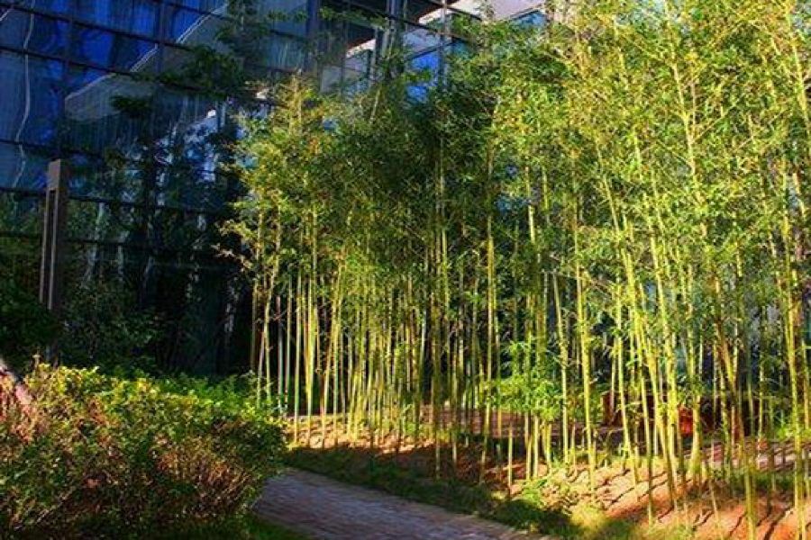 Zhongjian Yanqi Lake View Hotel Beijing Exterior foto